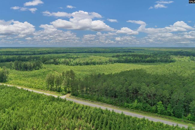 0000 N Brewington Rd, Home with 0 bedrooms, 0 bathrooms and null parking in Manning SC | Image 10