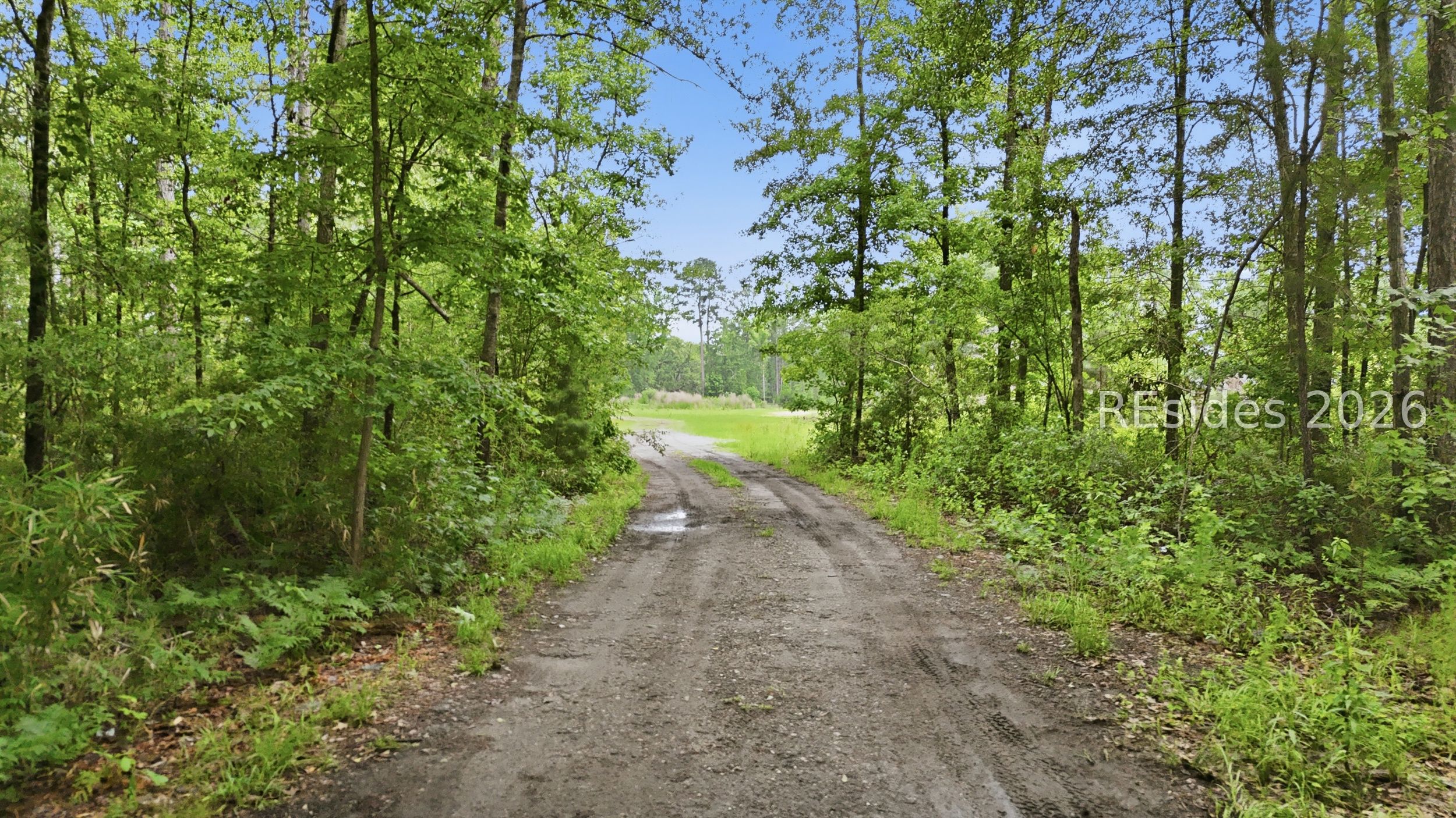 Land in Ridgeland 3