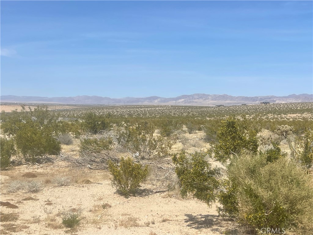 Land in 29 Palms 3