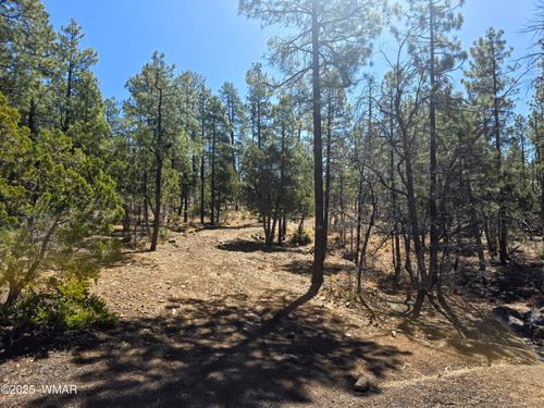 2501 Pine Wood Ln, Pinetop, AZ, 85935-7652 | Card Image