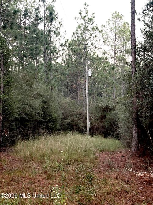 16512 Scotch Pine Drive, Vancleave, MS, 39565 | Card Image