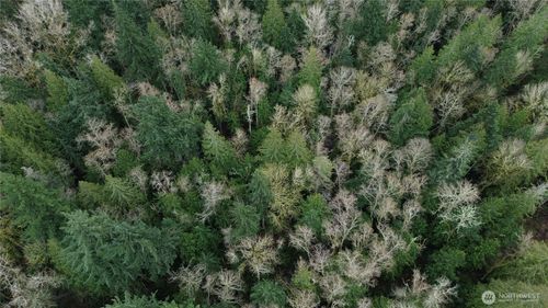 10 E St, Bellingham, WA, 98225 | Card Image