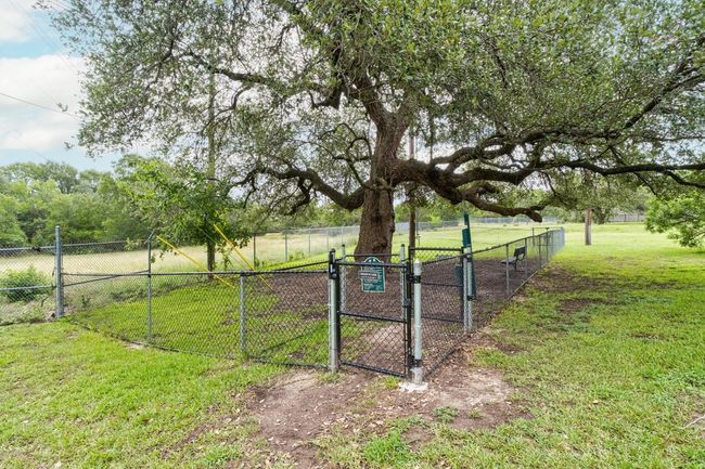 Dog Park | Image 26