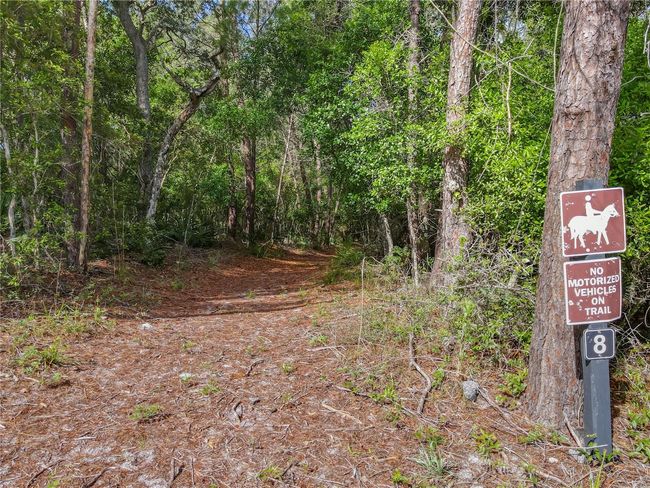 600 Seminole Woods Blvd, House other with 4 bedrooms, 4 bathrooms and null parking in Geneva FL | Image 89