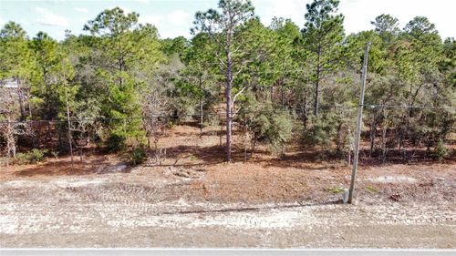 8951 N Citrus Springs Blvd, CITRUS SPRINGS, FL, 34433-4203 | Card Image