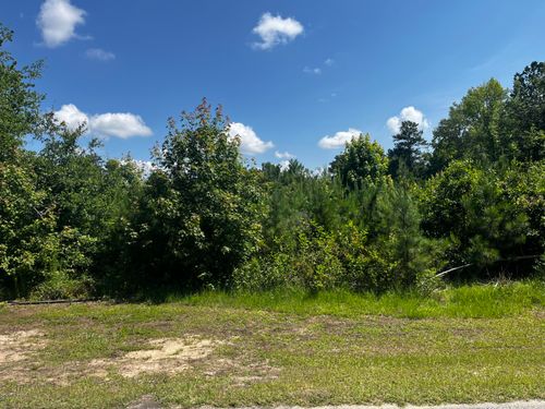 0 Young St, Wrens, GA, 30833 | Card Image