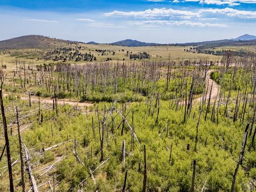 Lot 1925 Korlkoff Ln, Fort Garland, CO, 81133-9745 | Card Image