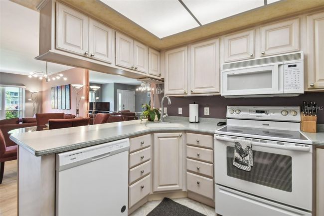 UNIT-5 - 20890 Negril Ct, Condo with 2 bedrooms, 2 bathrooms and null parking in LUTZ FL | Image 21