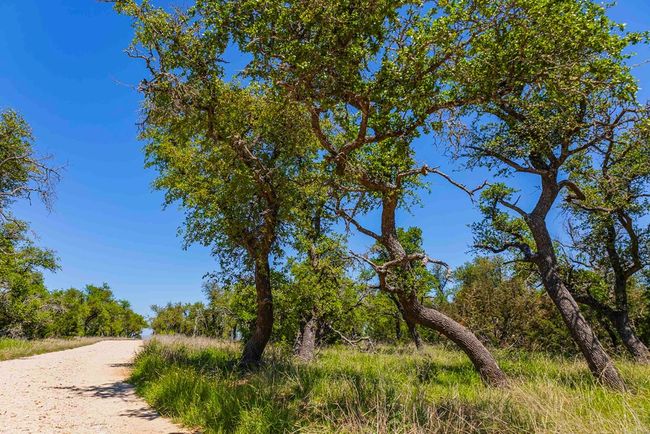 743 Welgehausen Rd, Home with 0 bedrooms, 0 bathrooms and null parking in Fredericksburg TX | Image 34