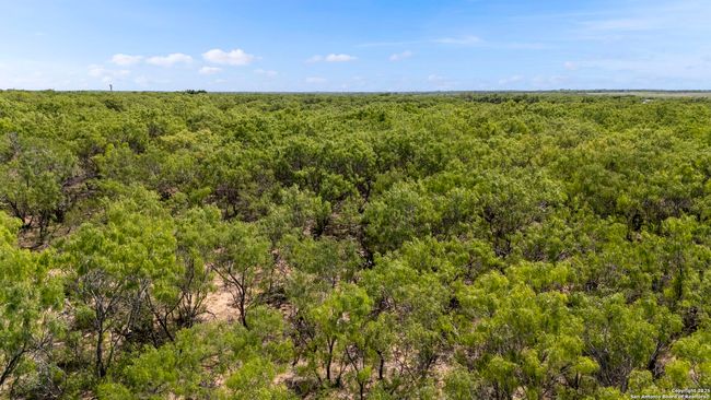 000 Fm 2146, Home with 0 bedrooms, 0 bathrooms and null parking in Poteet TX | Image 7
