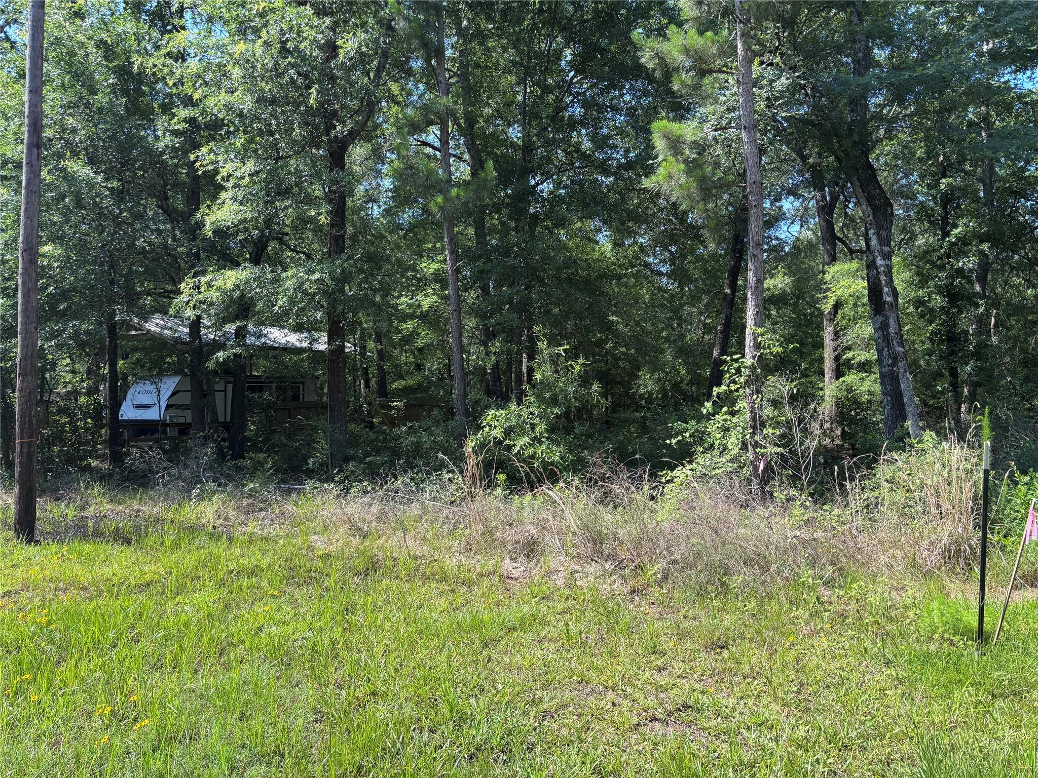 Land in Livingston