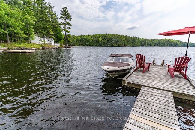 1131 Buckslide Rd, House other with 3 bedrooms, 1 bathrooms and 6 parking in Algonquin Highlands ON | Image 30