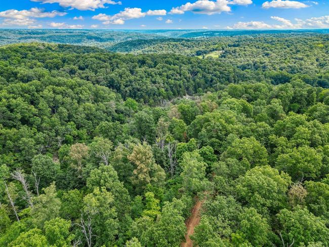 1106 Boone Hollow Rd, Home with 0 bedrooms, 0 bathrooms and null parking in Powell MO | Image 7