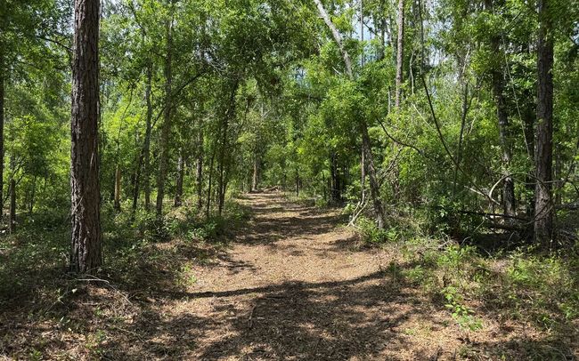 TBD 172 Nd Trce, Home with 0 bedrooms, 0 bathrooms and null parking in LIVE OAK FL | Image 11