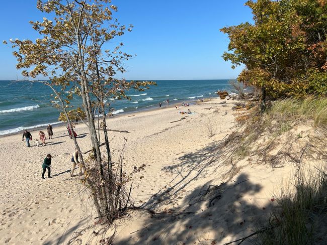 Pilgrim Haven Beach | Image 56