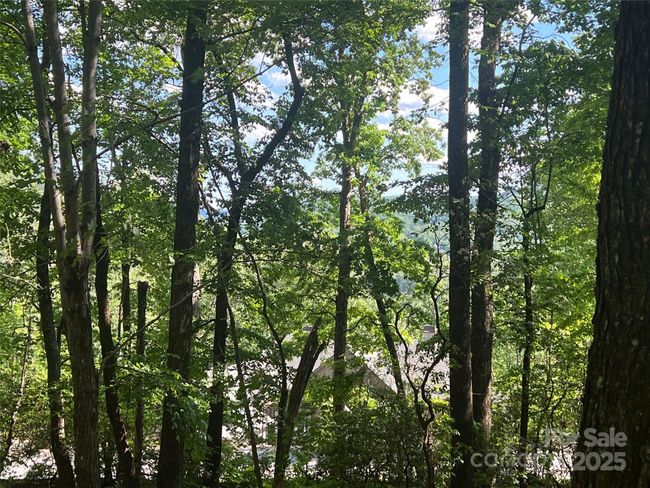 1110 Timberbluff Way, Home with 0 bedrooms, 0 bathrooms and null parking in Arden NC | Image 7