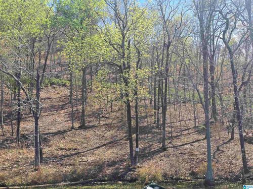 17-Lot 17 Eagle Point Trce, ROCKFORD, AL, 35136-1152 | Card Image