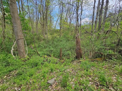 TBD Miller Ave., Marion, VA, 24354 | Card Image