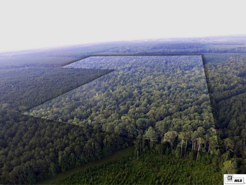 000 State Line Rd, Marion, LA, 71260 | Card Image