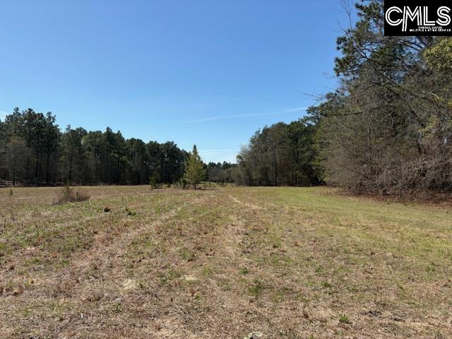 Land in Leesville 2