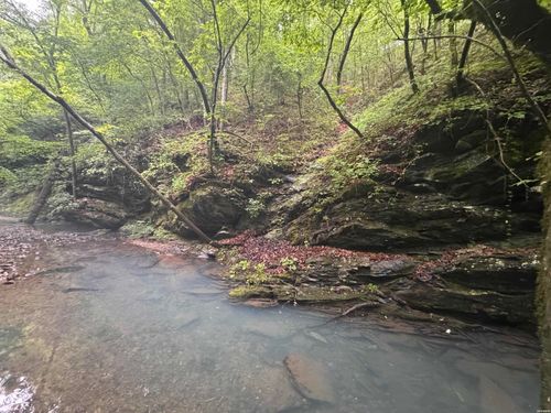 10 acres Liberty Road, Norman, AR, 71960 | Card Image