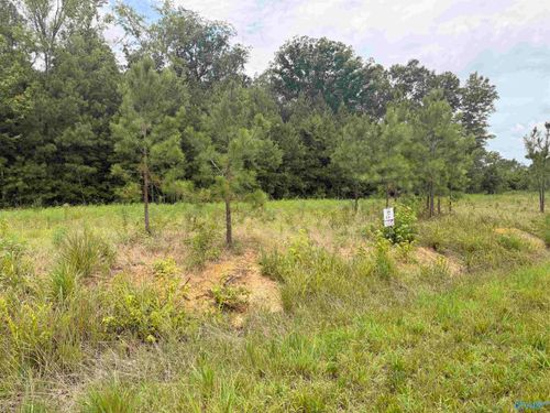 Lot 58 County Road 32, Piedmont, AL, 36272-4769 | Card Image