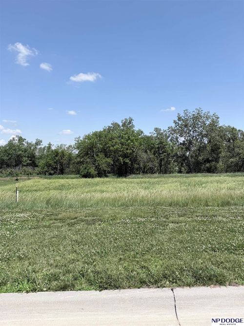 1019 Brickyard Dr, Hooper, NE, 68031-1352 | Card Image