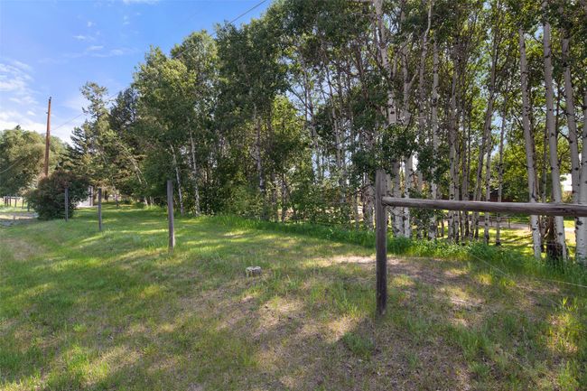View of lawn | Image 58