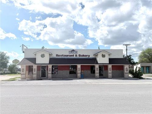 103 N 9th Street N, Alamo, TX, 78537 | Card Image