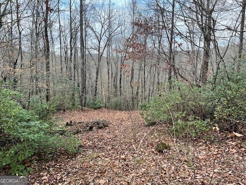0 Gove Rd, Sautee Nacoochee, GA, 30571 | Card Image