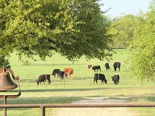 660 Fm 203, Walnut Springs, TX, 76690-4667 | Card Image