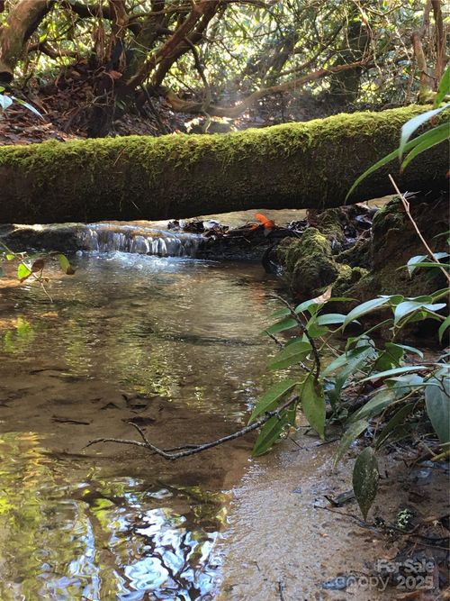 999 Lakewood Dr, Cedar Mountain, NC, 28718 | Card Image