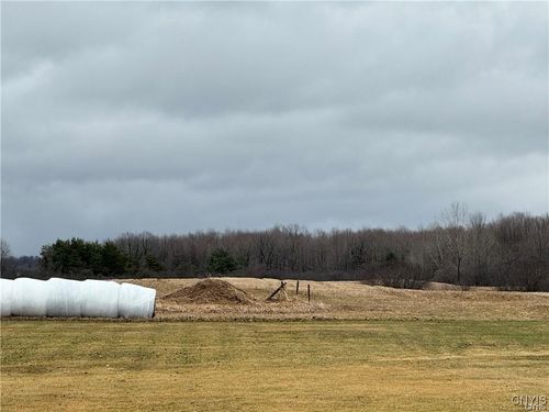 24972 Plank Rd, Calcium, NY, 13616-2198 | Card Image