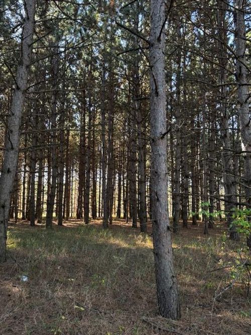 xxx Emerald Court Ne, Carlos, MN, 56319 | Card Image