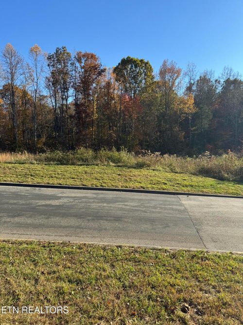 320 Shadows Lawn Dr, Athens, TN, 37303-3955 | Card Image