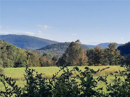 TBD Lower Dingle Hill Rd, Andes, NY, 13731 | Card Image