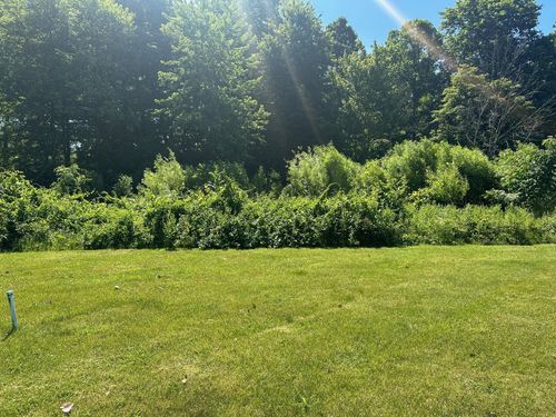 107 Diamond Point Lane, New Buffalo, MI, 49117 | Card Image