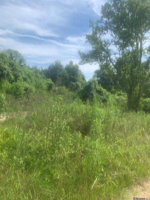 TBD Allen Brown Ln, Jackson, LA, 70748 | Card Image