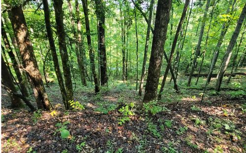 154-5 Dogwood Cir, Hayesville, NC, 28904-9360 | Card Image