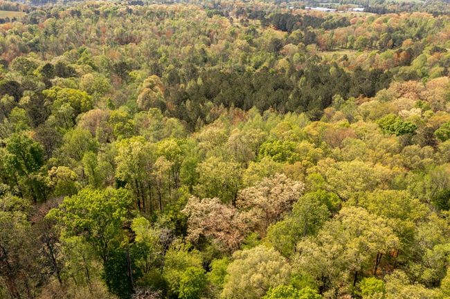 00 Cohutta Beaverdale Rd, Home with 0 bedrooms, 0 bathrooms and null parking in Cohutta GA | Image 18