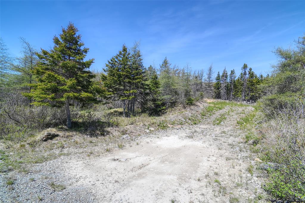 Land in Bay Roberts 2