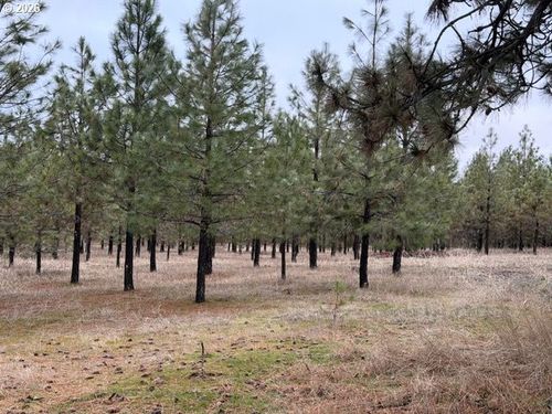 1-2-3-3 Golden Valley Rd, Goldendale, WA, 98620-4007 | Card Image