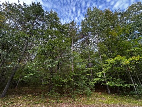 Lot 39 Peggy Ln, Minocqua, WI, 54548 | Card Image