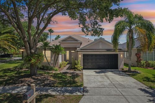 19113 Golden Cacoon Pl, LUTZ, FL, 33558-9061 | Card Image