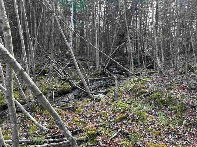 Lot 109 Steeple View Dr, Home with 0 bedrooms, 0 bathrooms and null parking in Bethlehem NH | Image 14