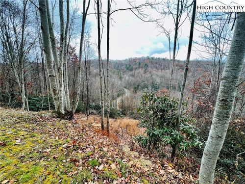 99 Beaver Dam Road, Elk Park, NC, 28622 | Card Image