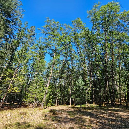 15367 Lakewood Lane, Grass Valley, CA, 95945 | Card Image