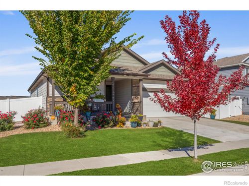 941 Barasingha St, Severance, CO, 80550-3813 | Card Image