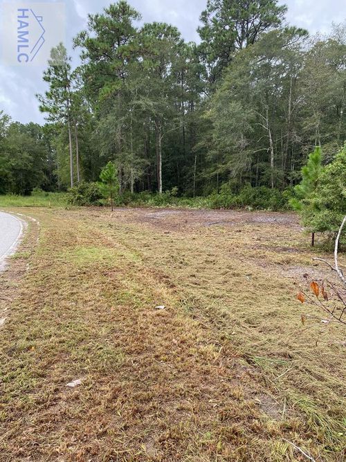 0 Peachtree St, Jesup, GA, 31545 | Card Image