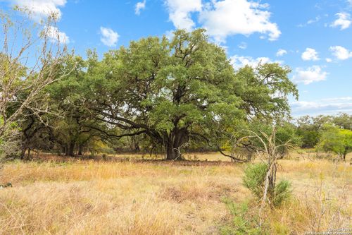 00 Antler Forest, Dhanis, TX, 78850 | Card Image